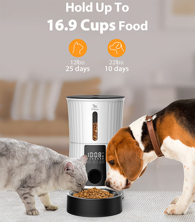 Microchip Pet slow Feeder Smart 6 Meal LCD Timed 4L Automatic Cats Pet Food Feeder